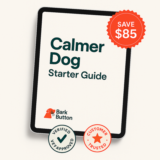 Calmer Dog Starter Guide